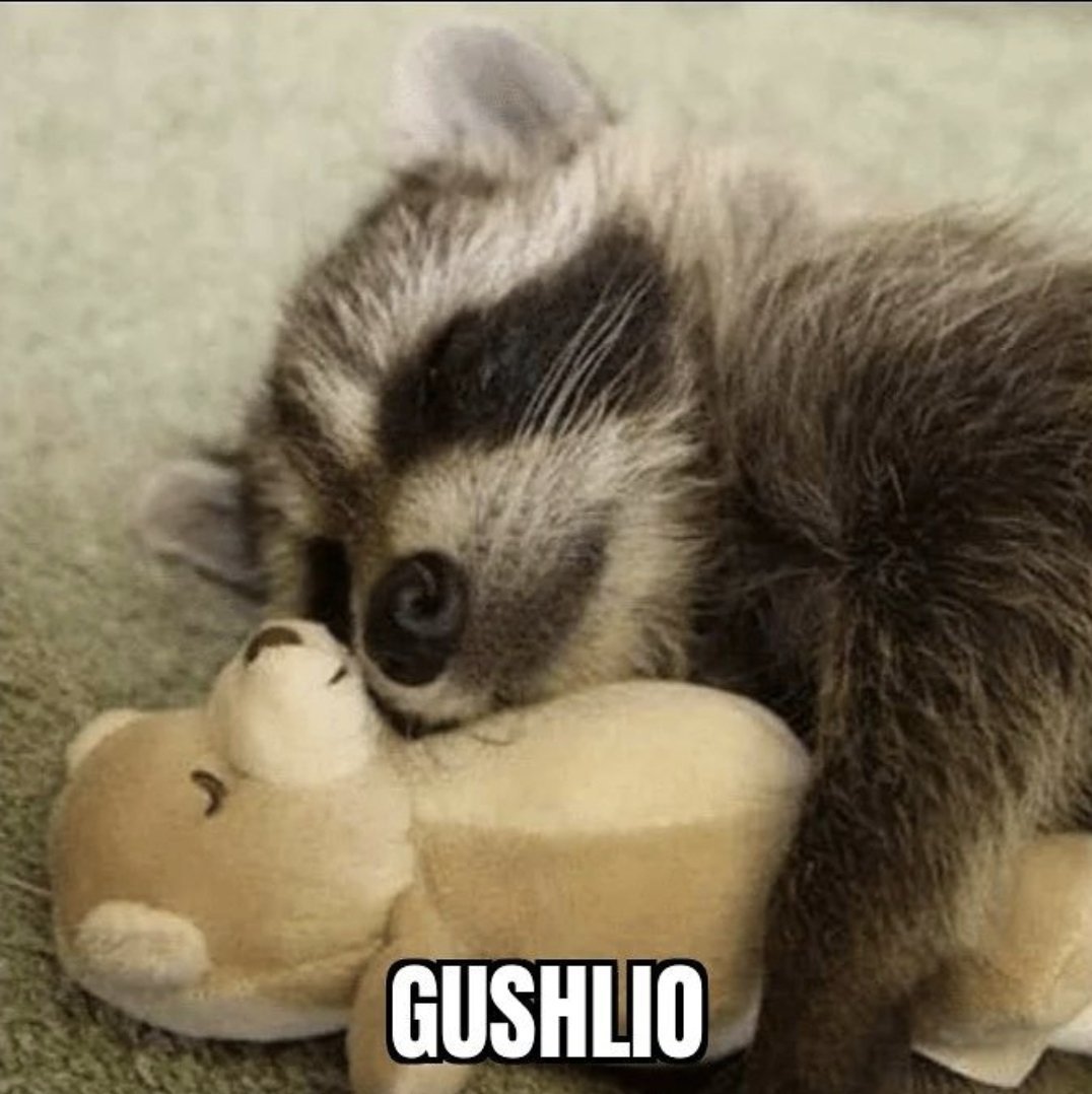 Спокойной ночи енот