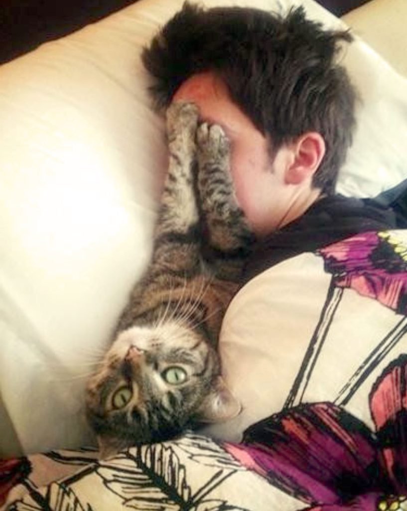 Рисунок утро