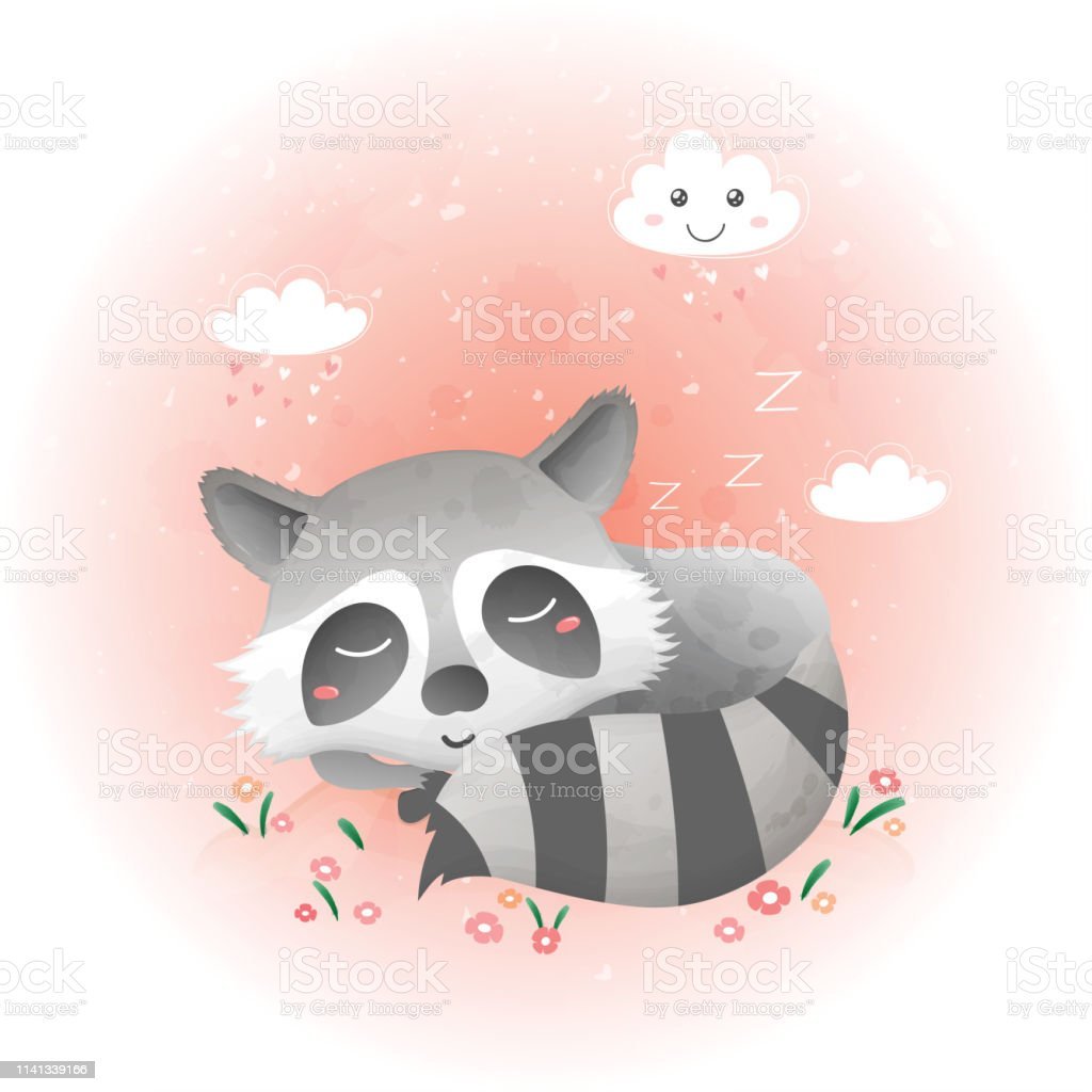 Милый енот спит