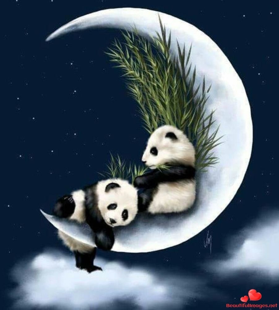 Спокойной ночи Панда