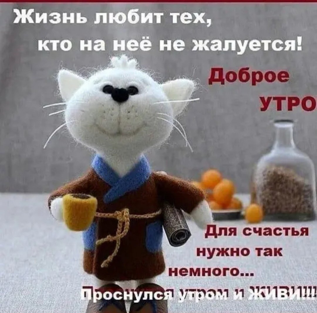 Доброе утро корги