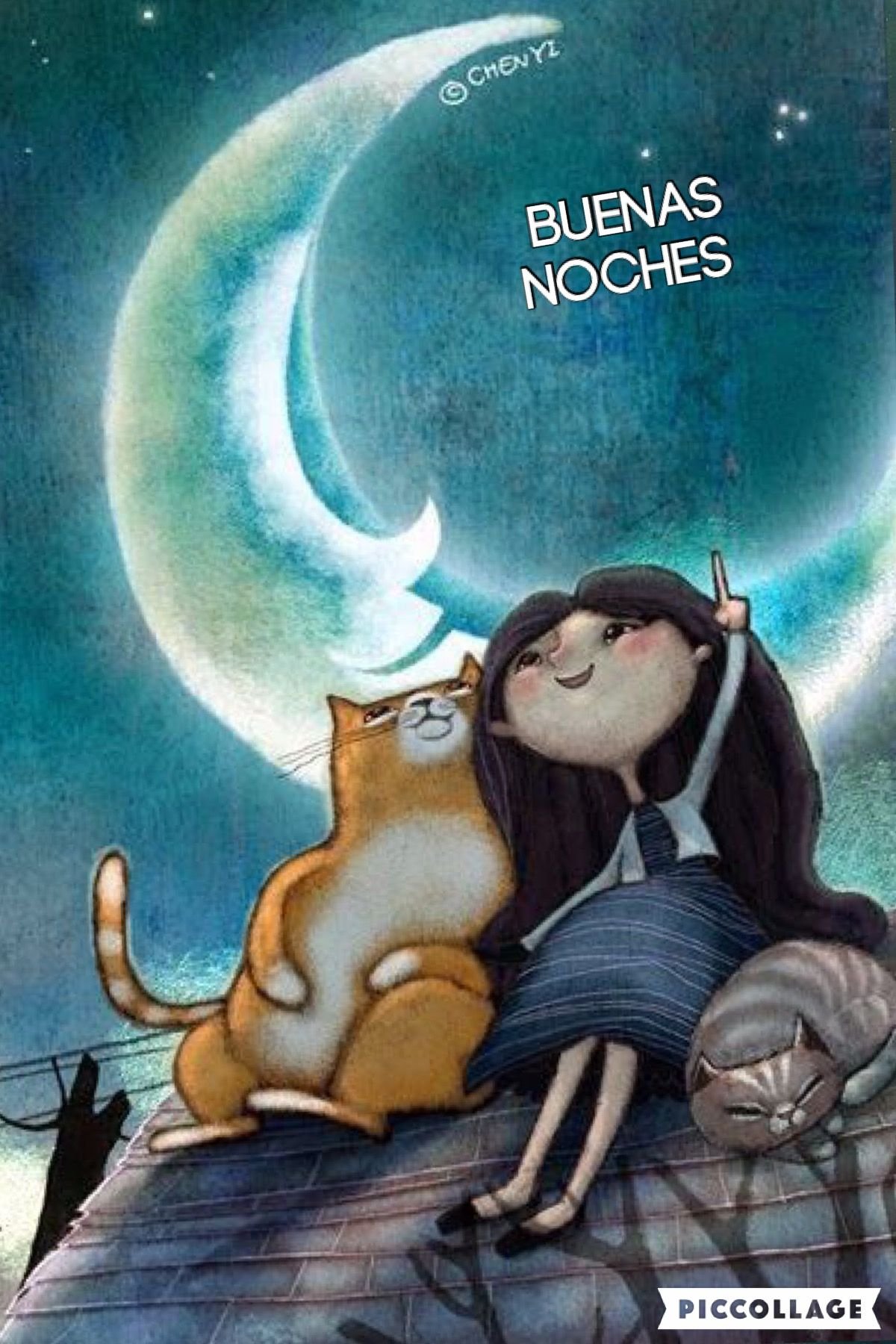 Рафаэль Вавассер Звездные коты