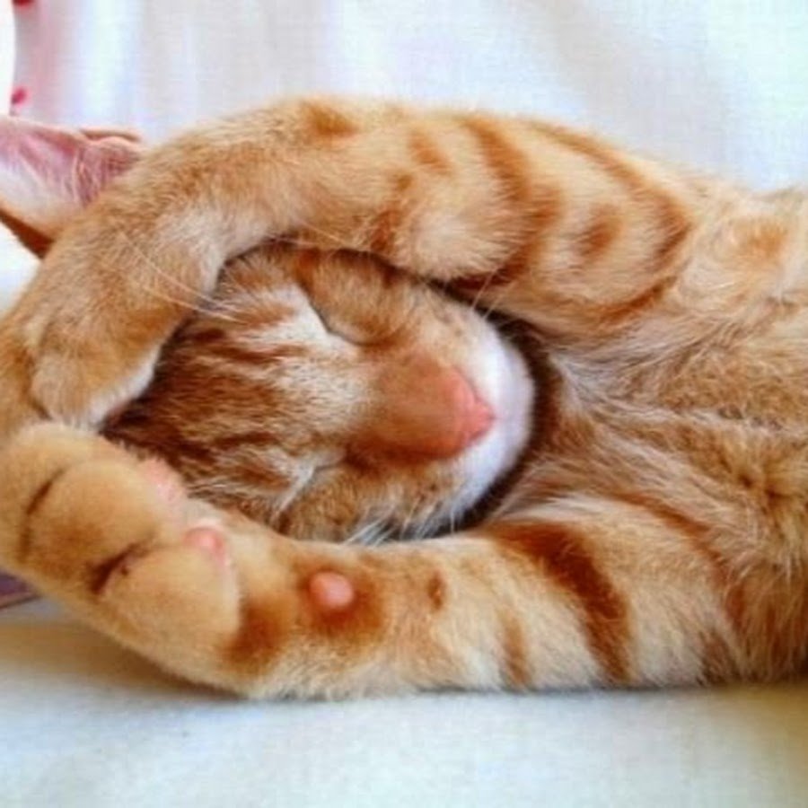 Утро вторника