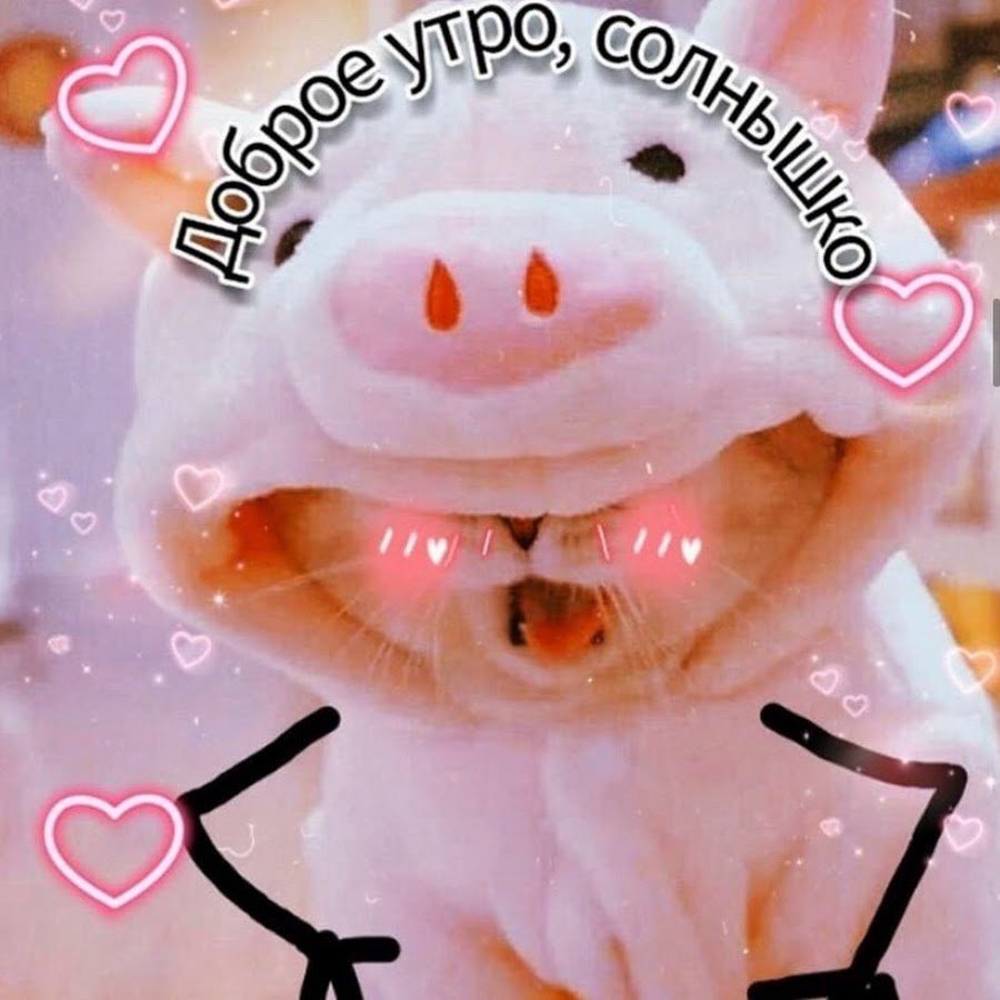 Смещные мемы доброе УИРО