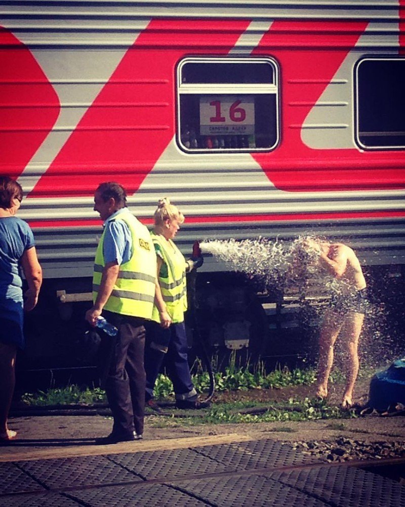 Волк в электричке