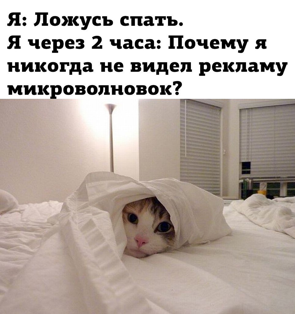 Котик в кровати