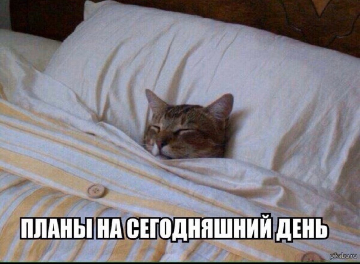 Спящий Пушин