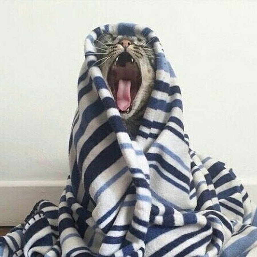 Кровать кошечка