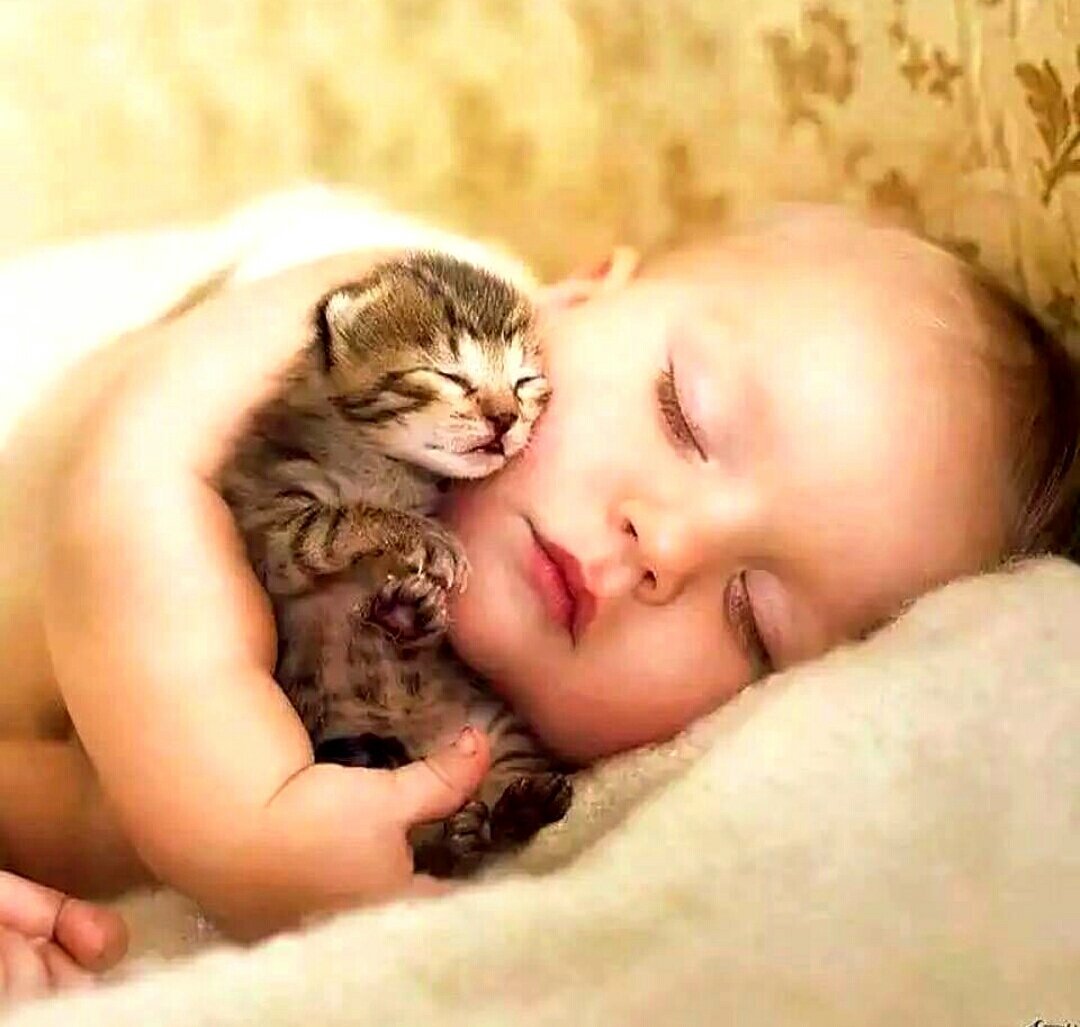 Дети, животные и спокойной ночи