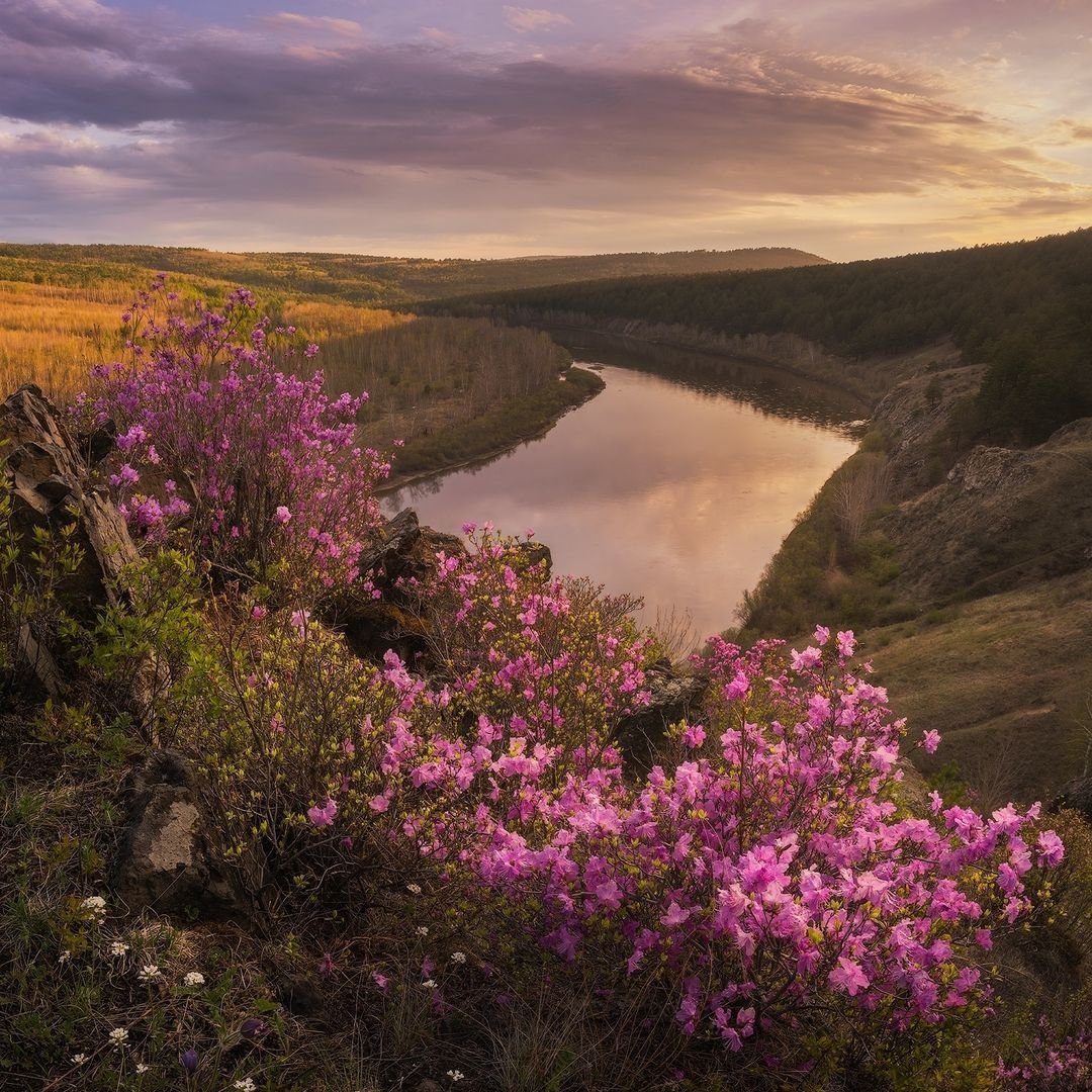 Пейзаж Забайкальского края