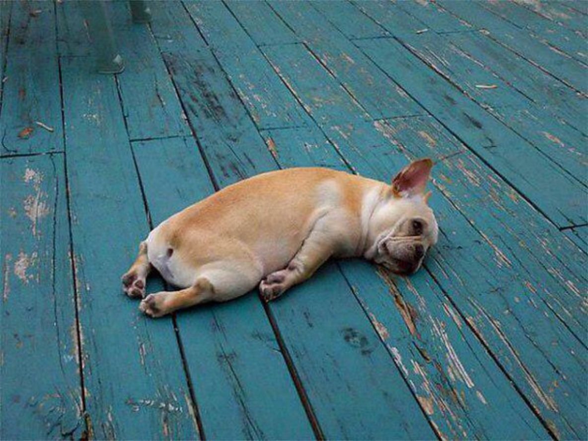 Из дома гонит человек и заставляет