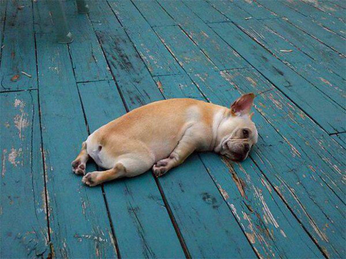 Открытки с первым рабочим днем после отпуска для женщин