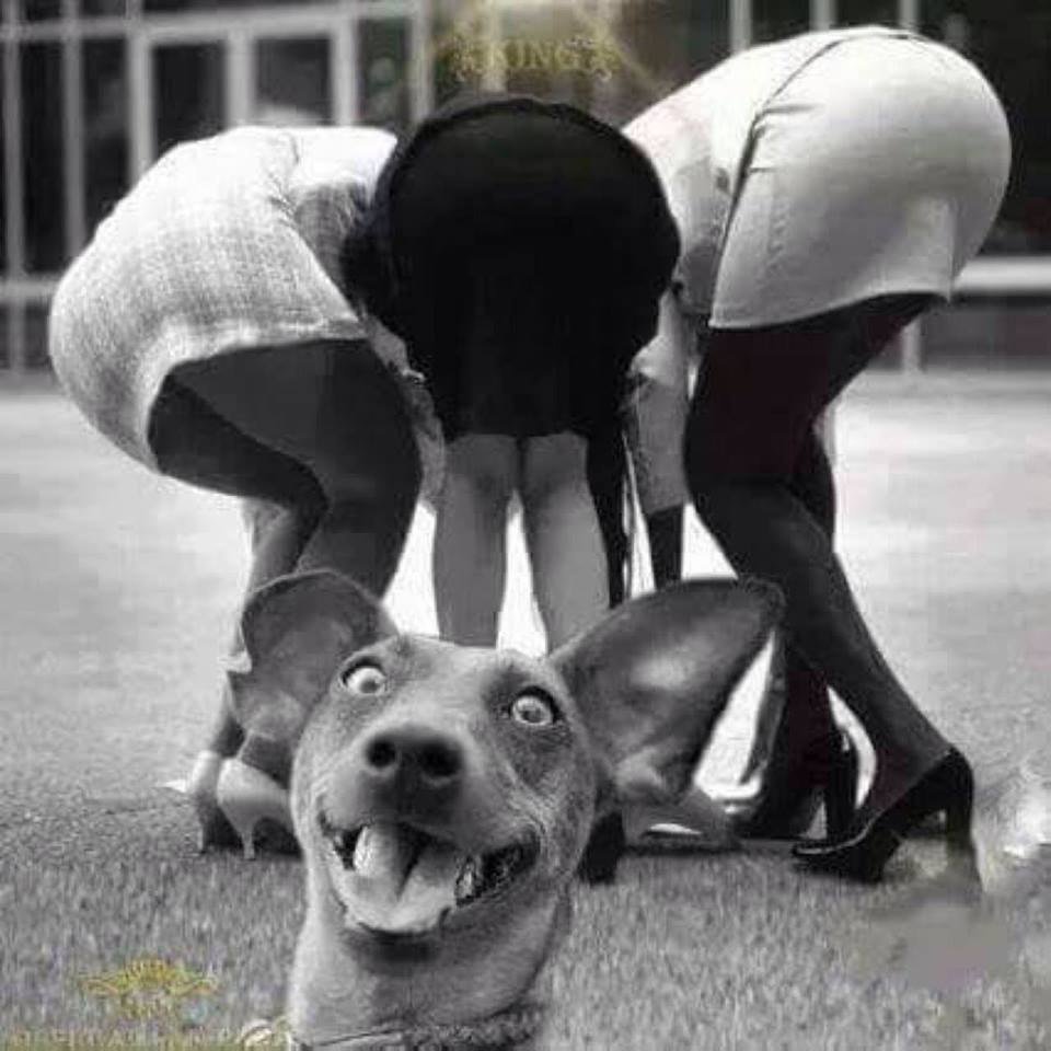 Открытка не переживай