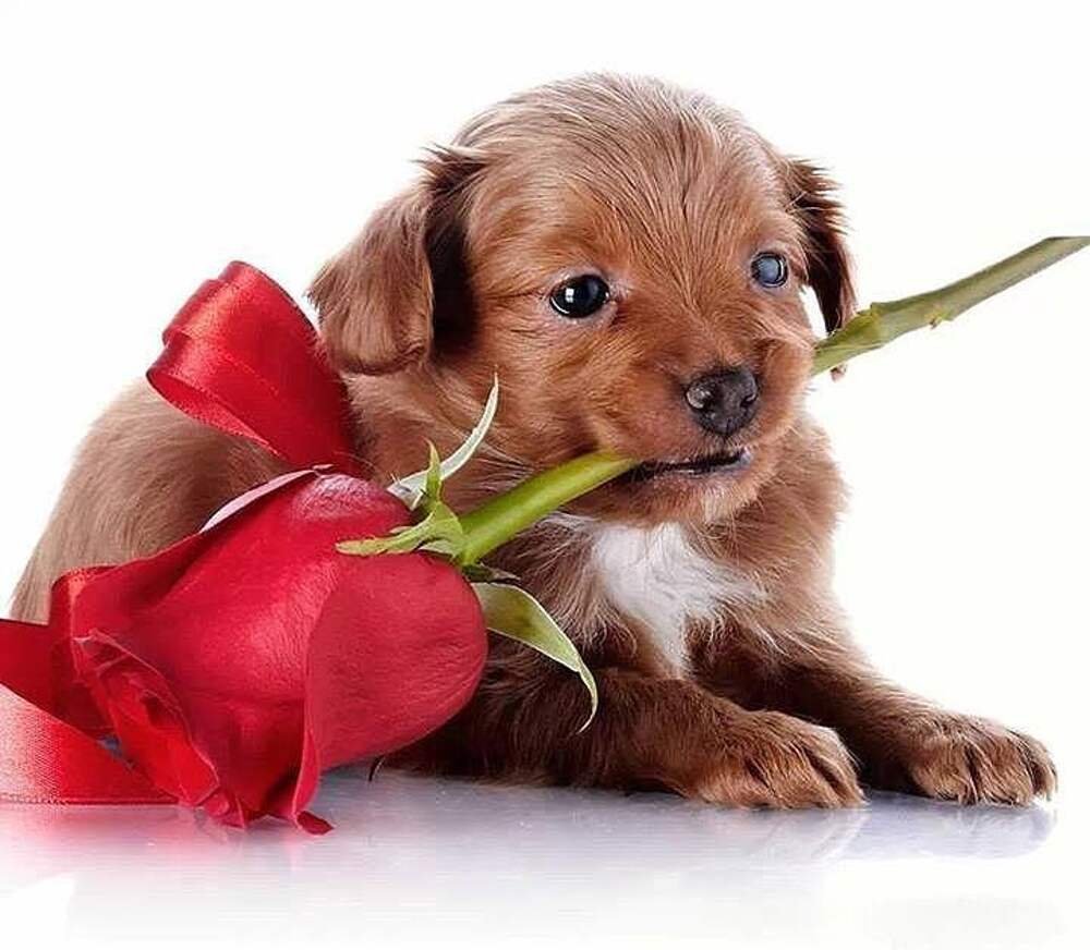 Не расстраивайся картинки прикольные