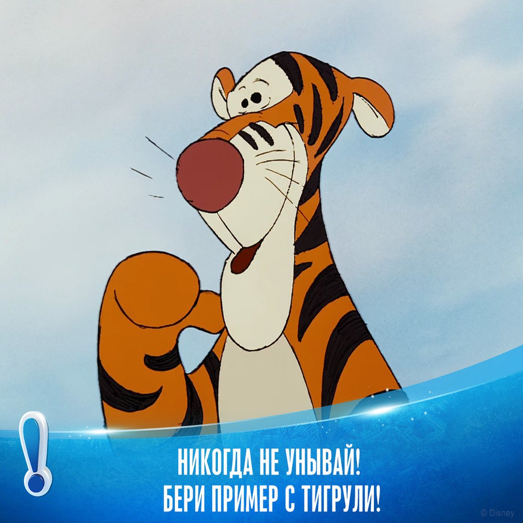 Тигруля день рождения