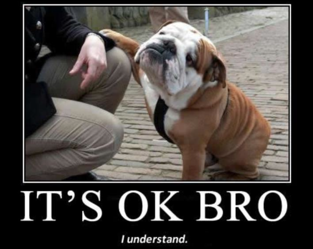 Держись бро