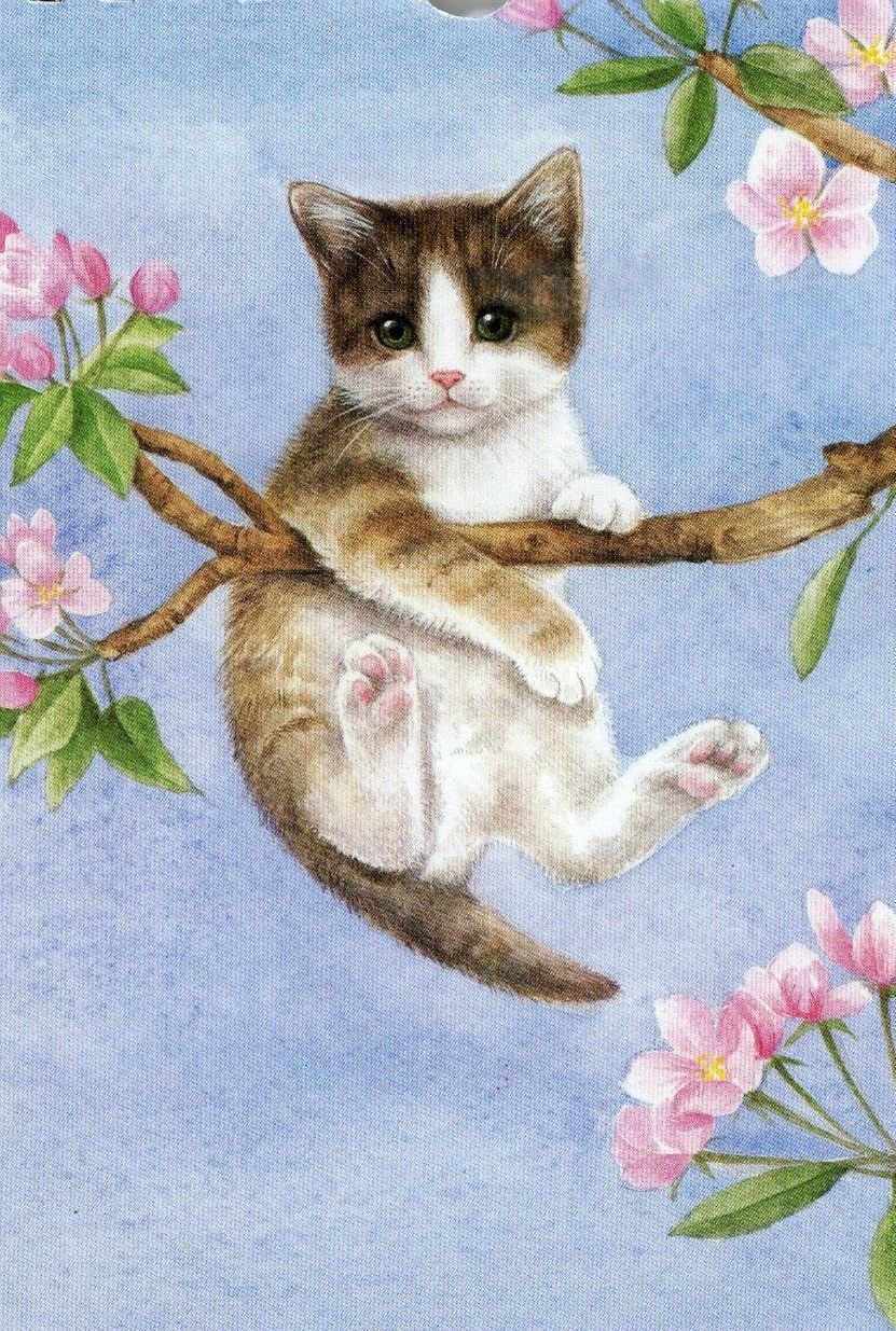 Котенок на ветке