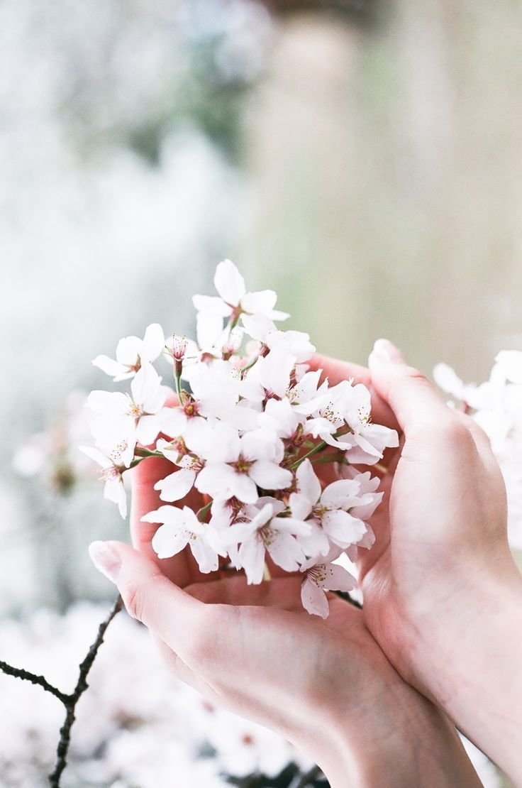 Цветок на руку.