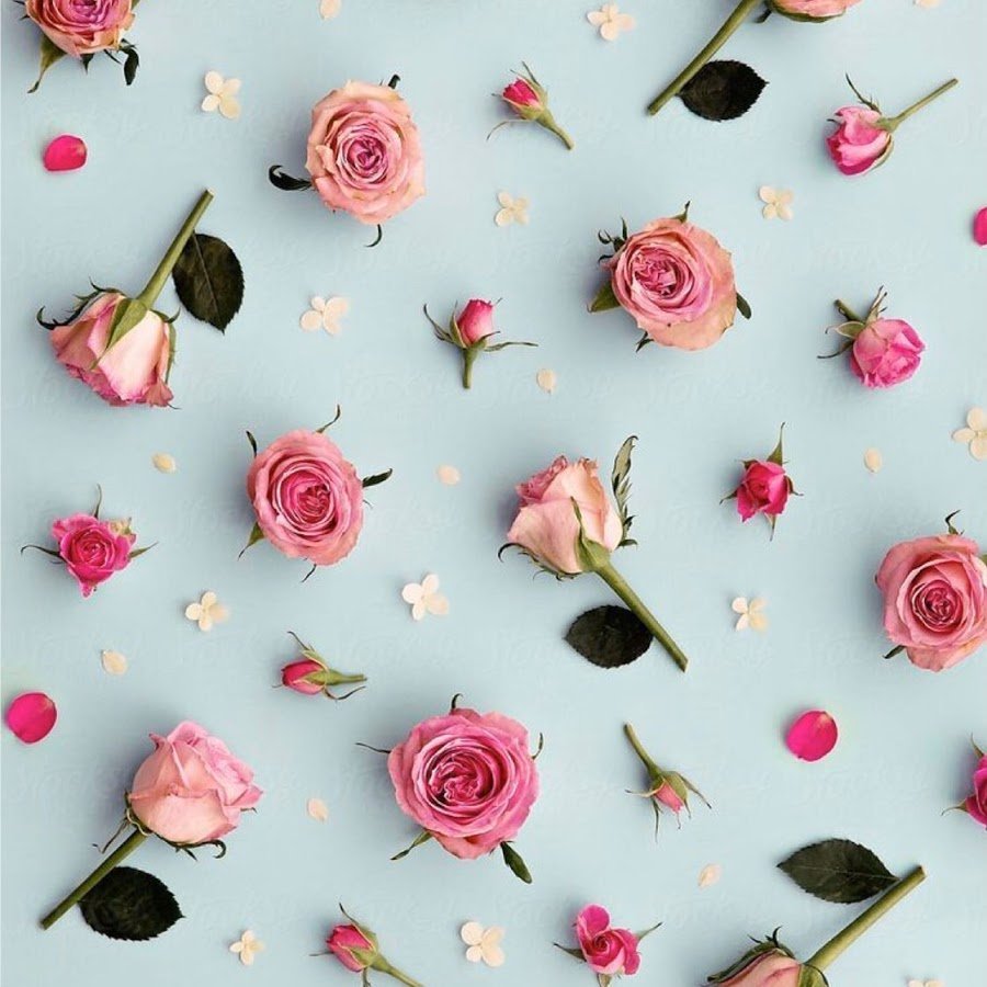 Розовые цветы фон