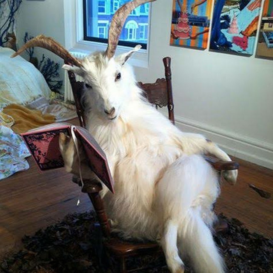 Сидрая коза