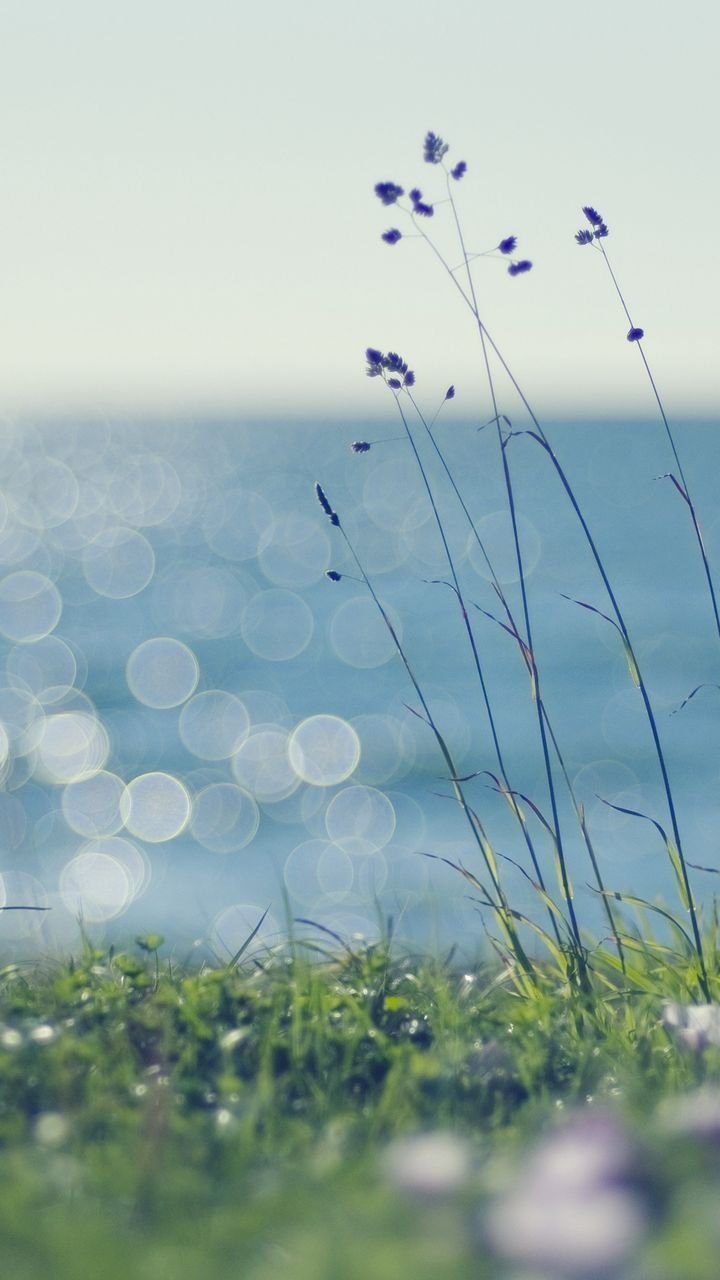 Свежесть умиротворение