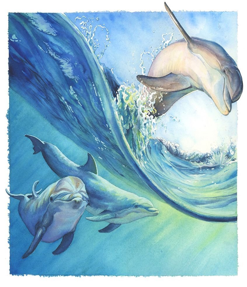 Дельфин акварелью