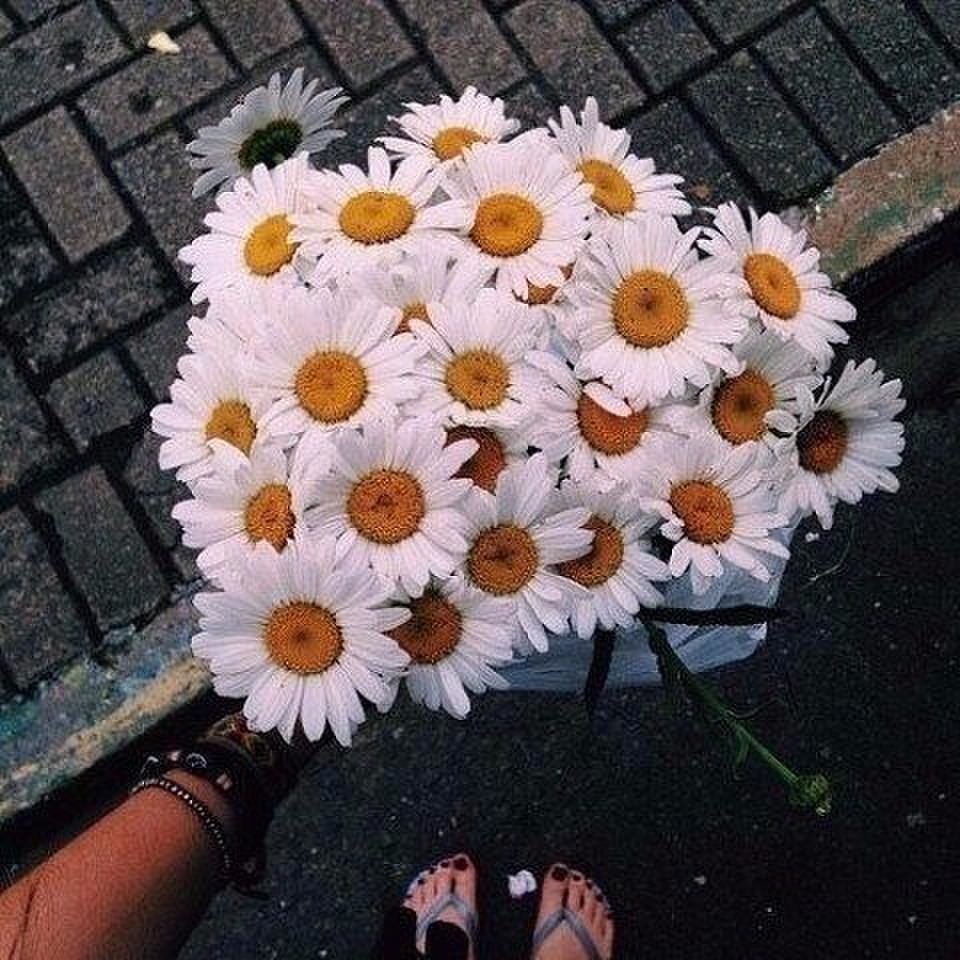 Девушка с большим букетом ромашек