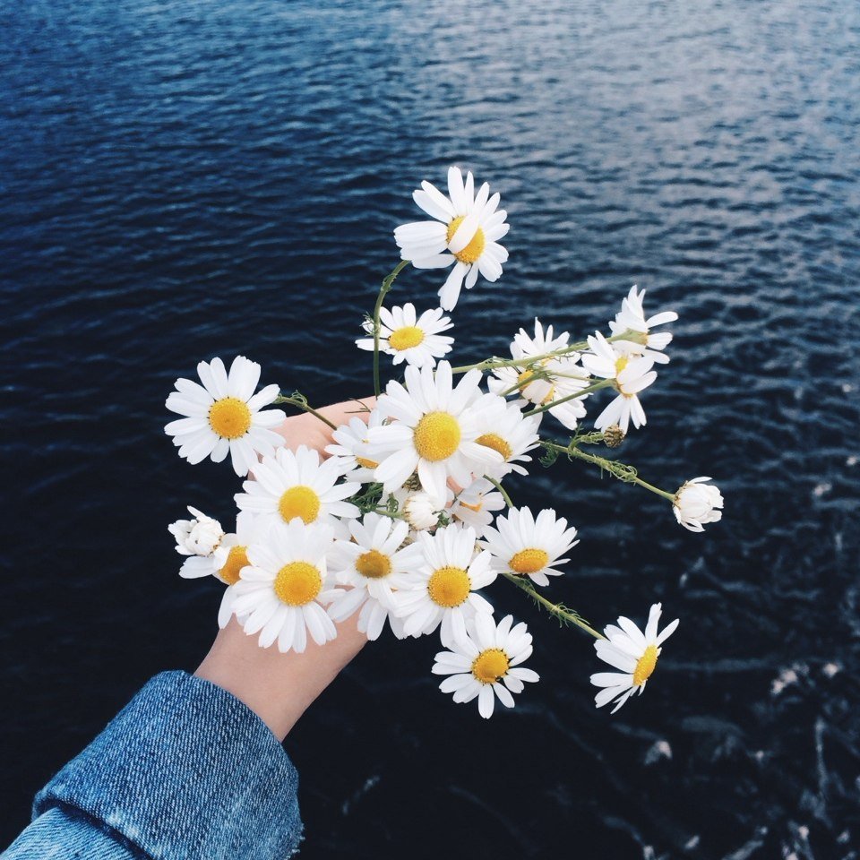 Стильная фотосессия с ромашками