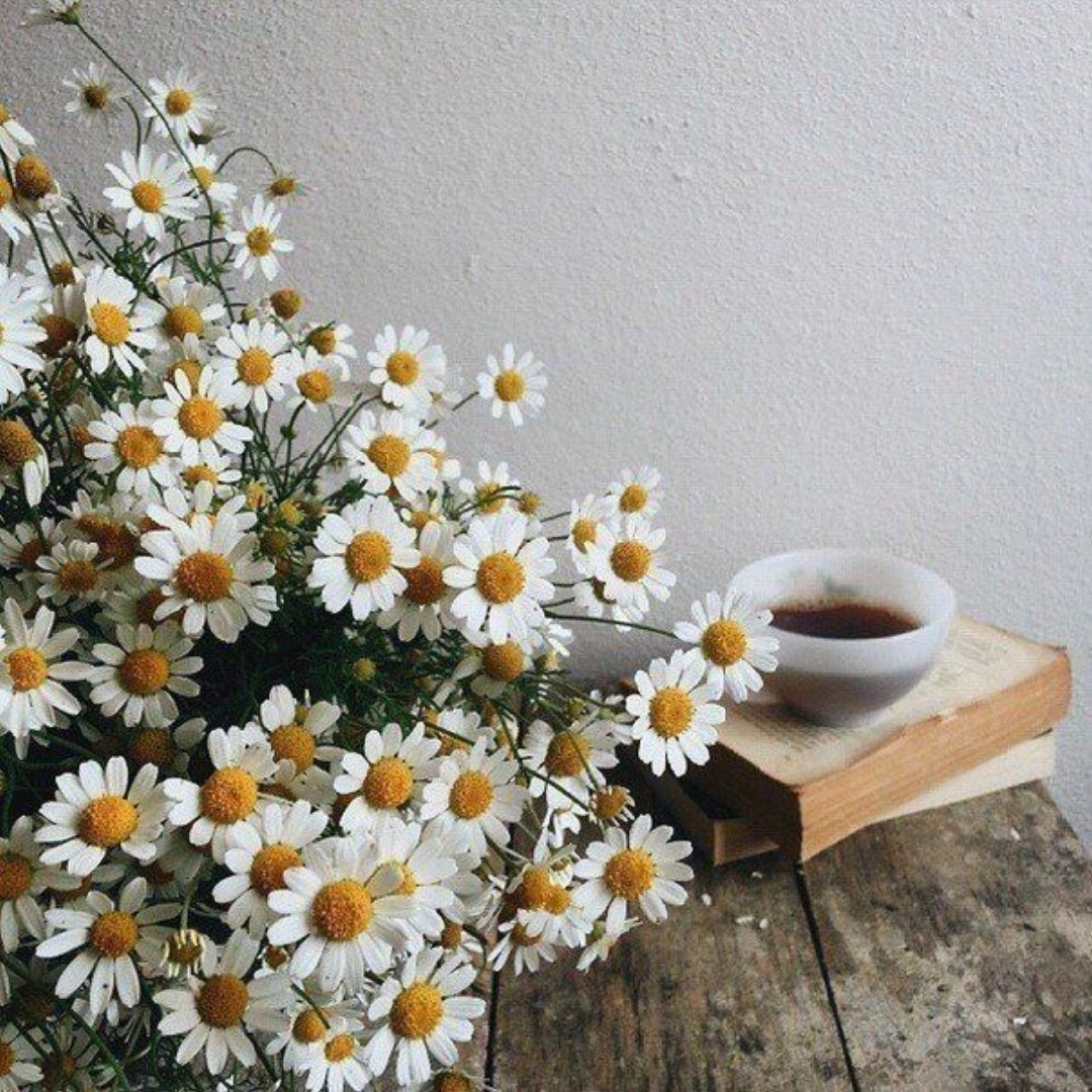 Букет ромашек селфи