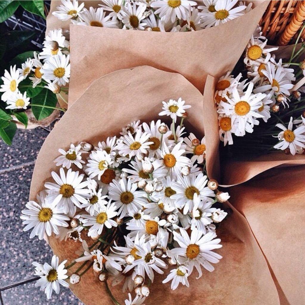 Ромашки в виде сердца