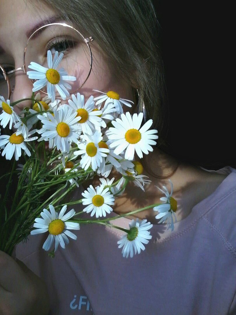 Букет ромашек в руках