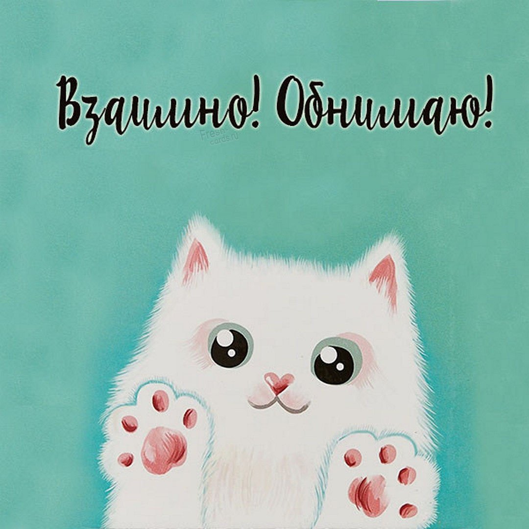 Доброе утро котик мой