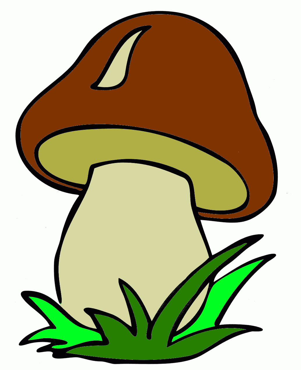 Гриб Боровик рисунок