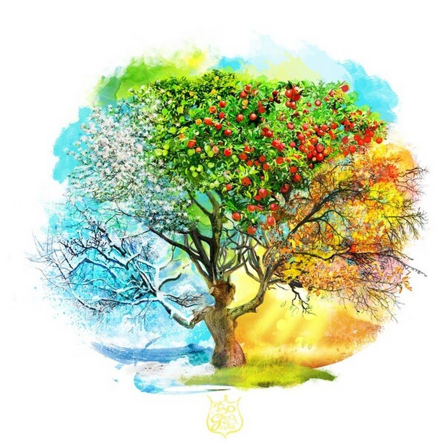 Ствол дерева для генеалогического дерева