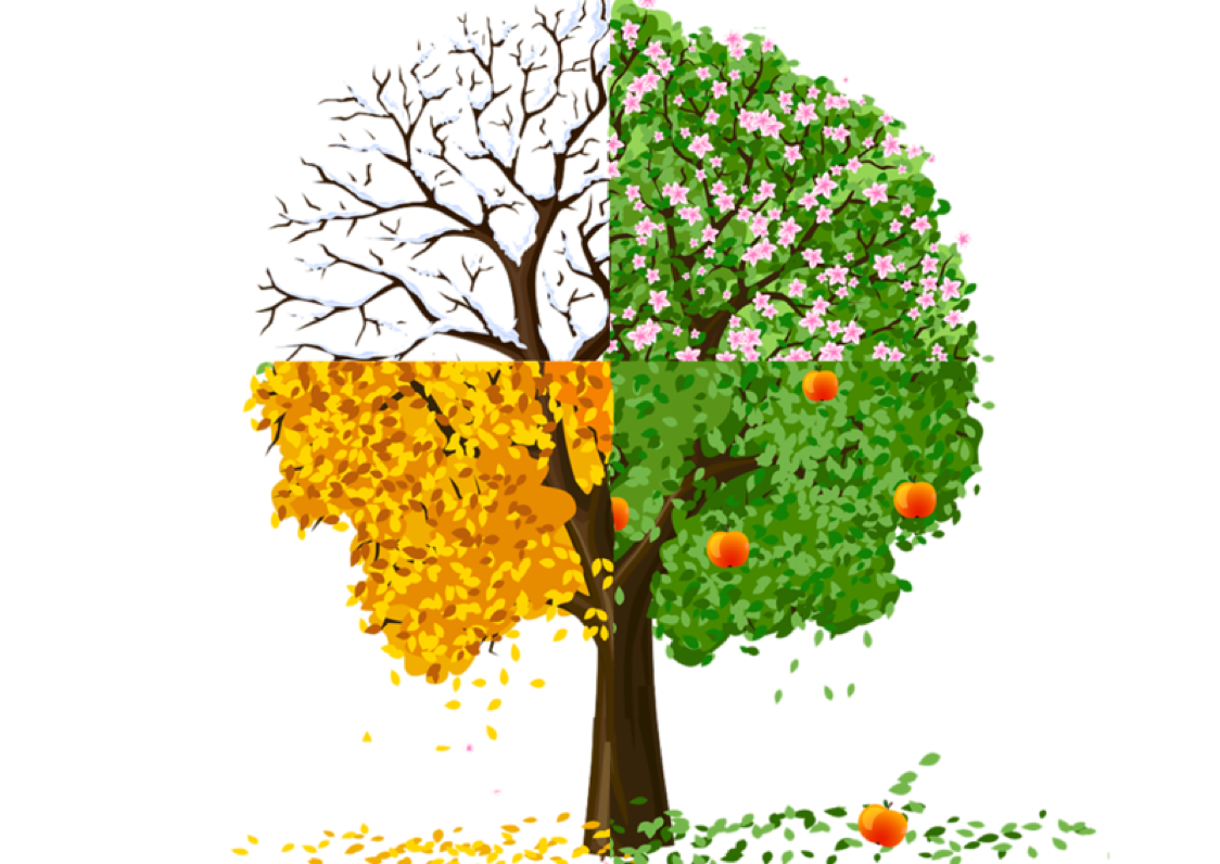 Картонное дерево