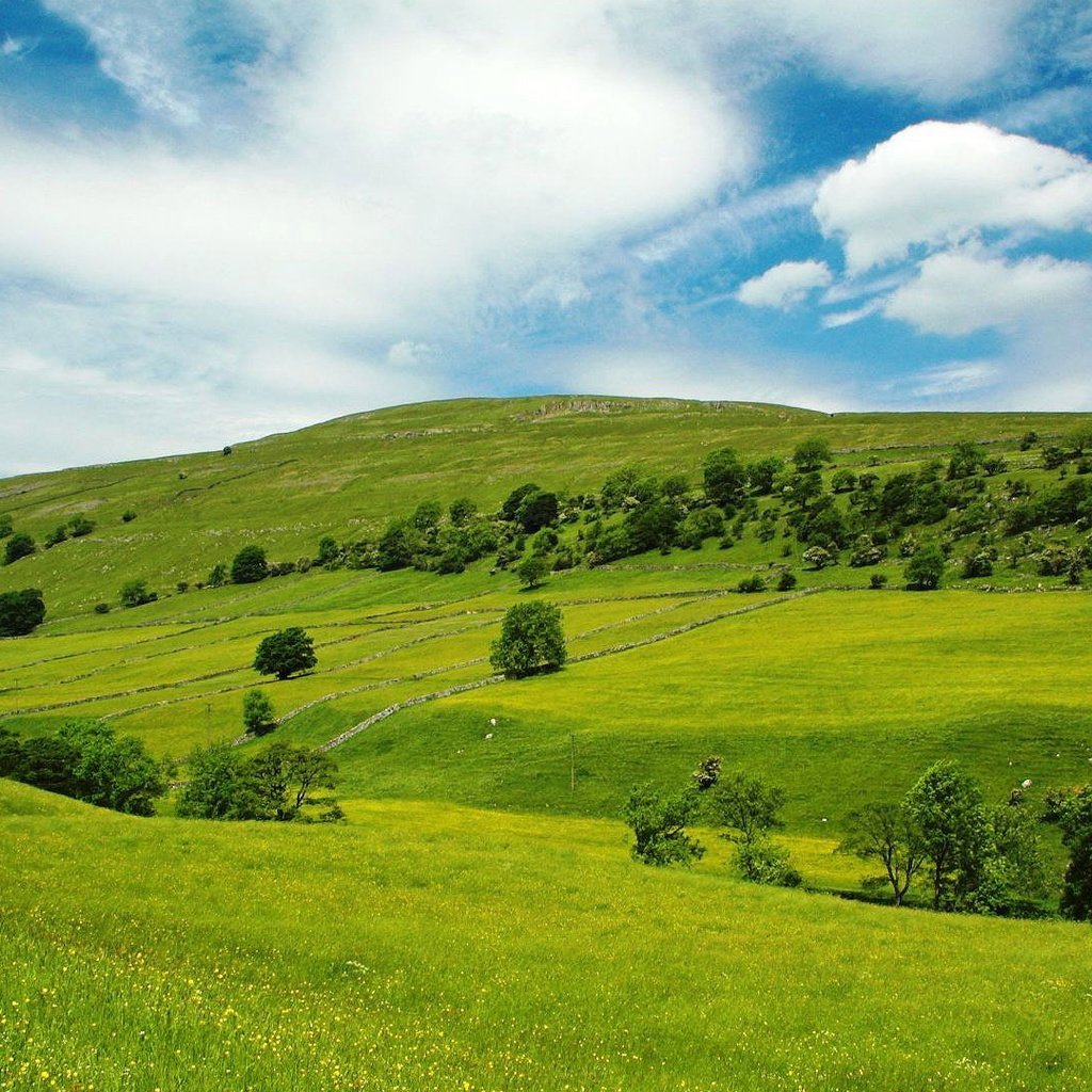 Рисовые поля Уругвай