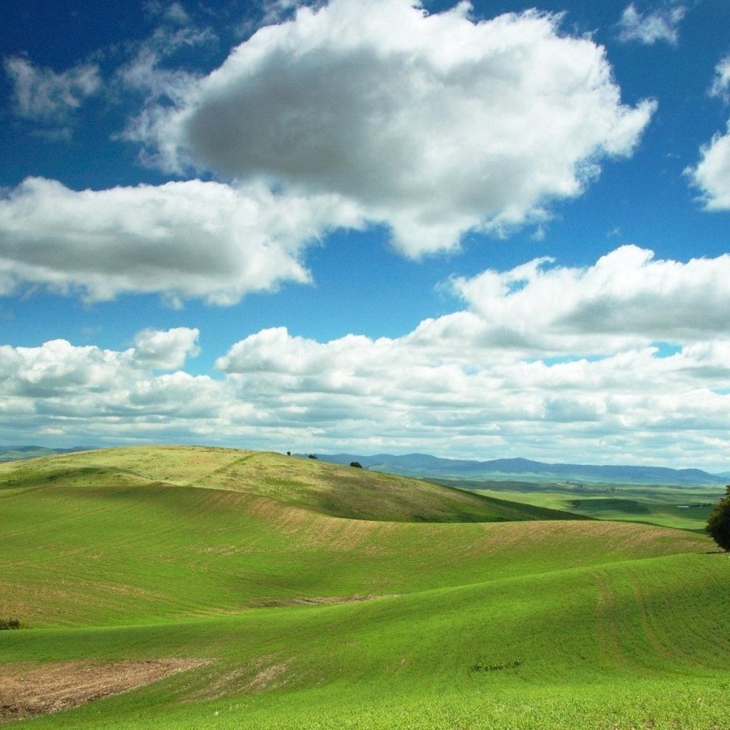 Фон равнина