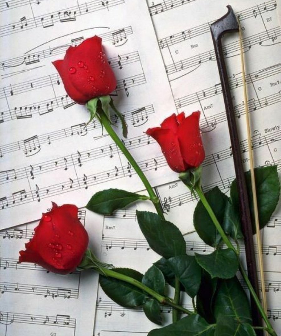 Букет цветов и Ноты