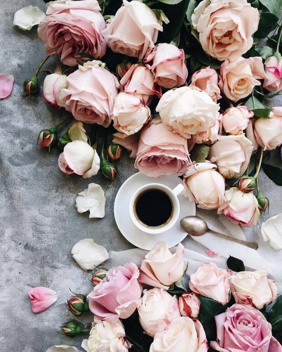 Розовые цветы и кофе