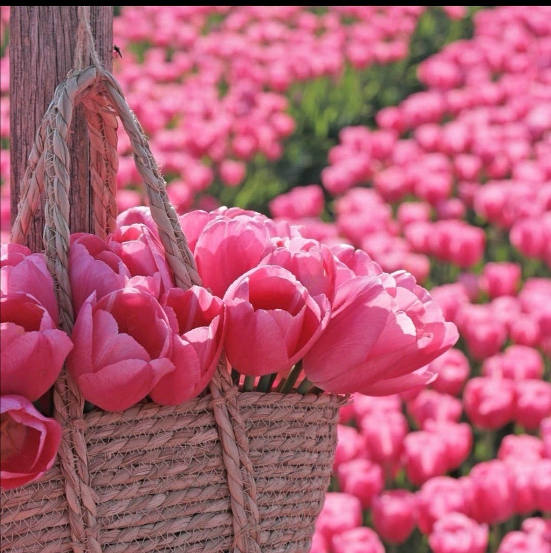 Поздравления с днём рождения брату от сестры