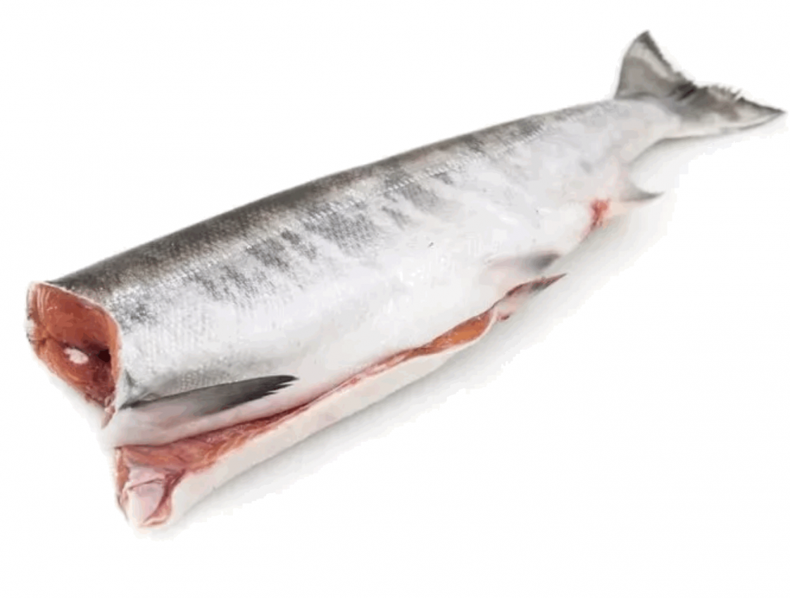 Кета ПБГ свежемороженая