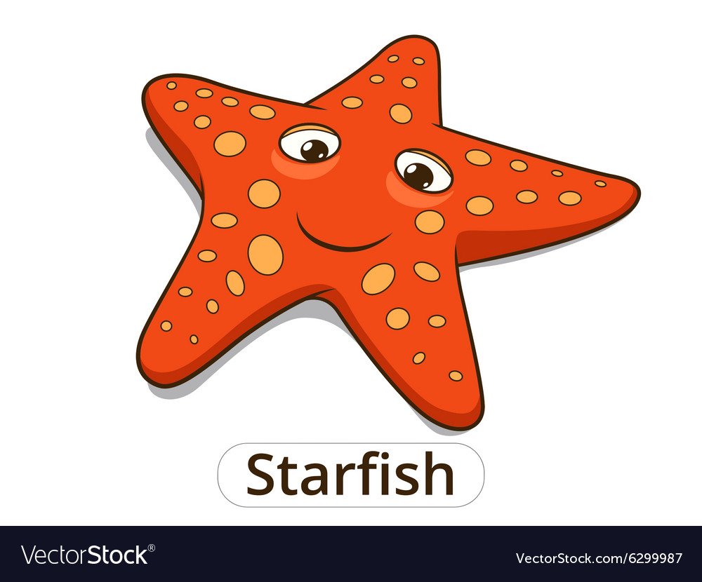 Морская звезда рисунок