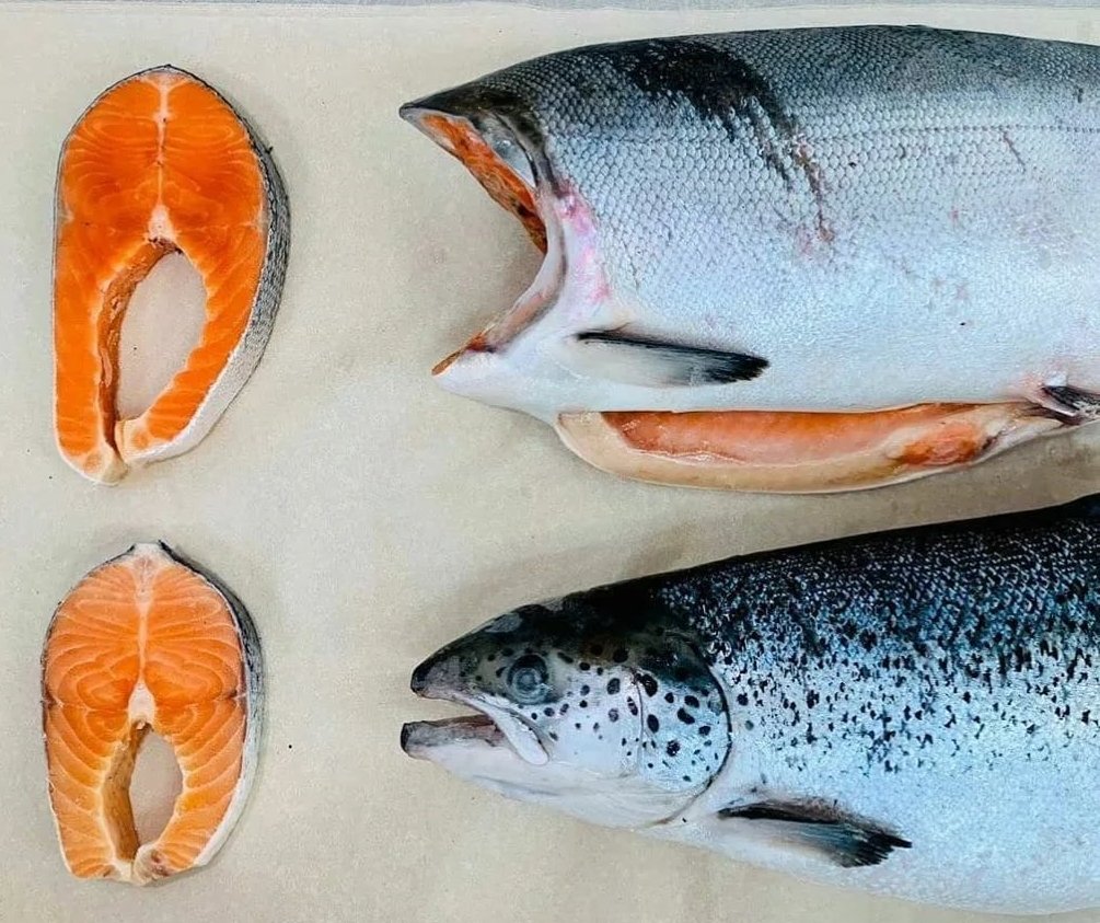 Мясо семги и форели