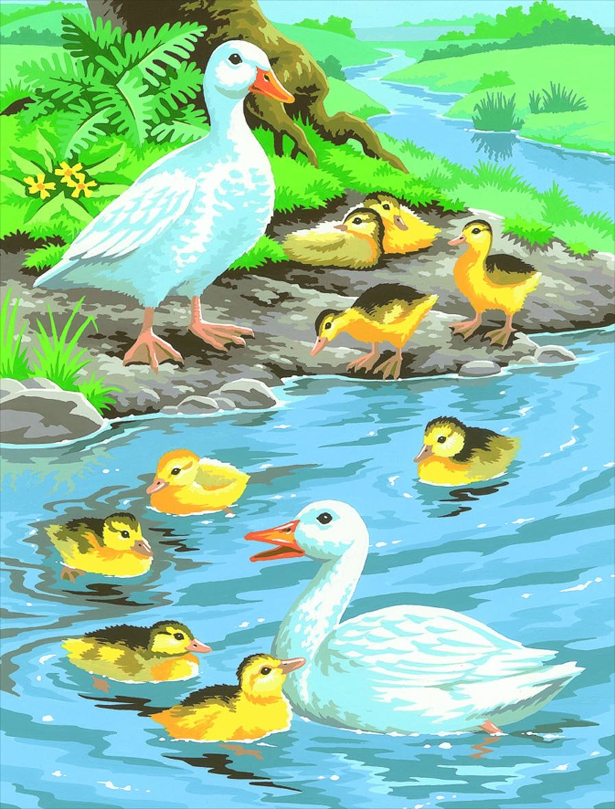 Мир птиц. Художник Abraham Hunter.