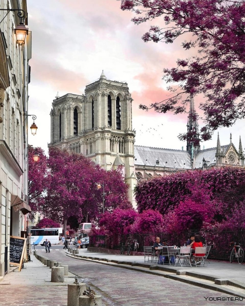 Красивый городской пейзаж