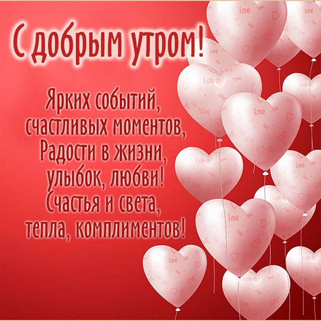 Кошка хочет кушать