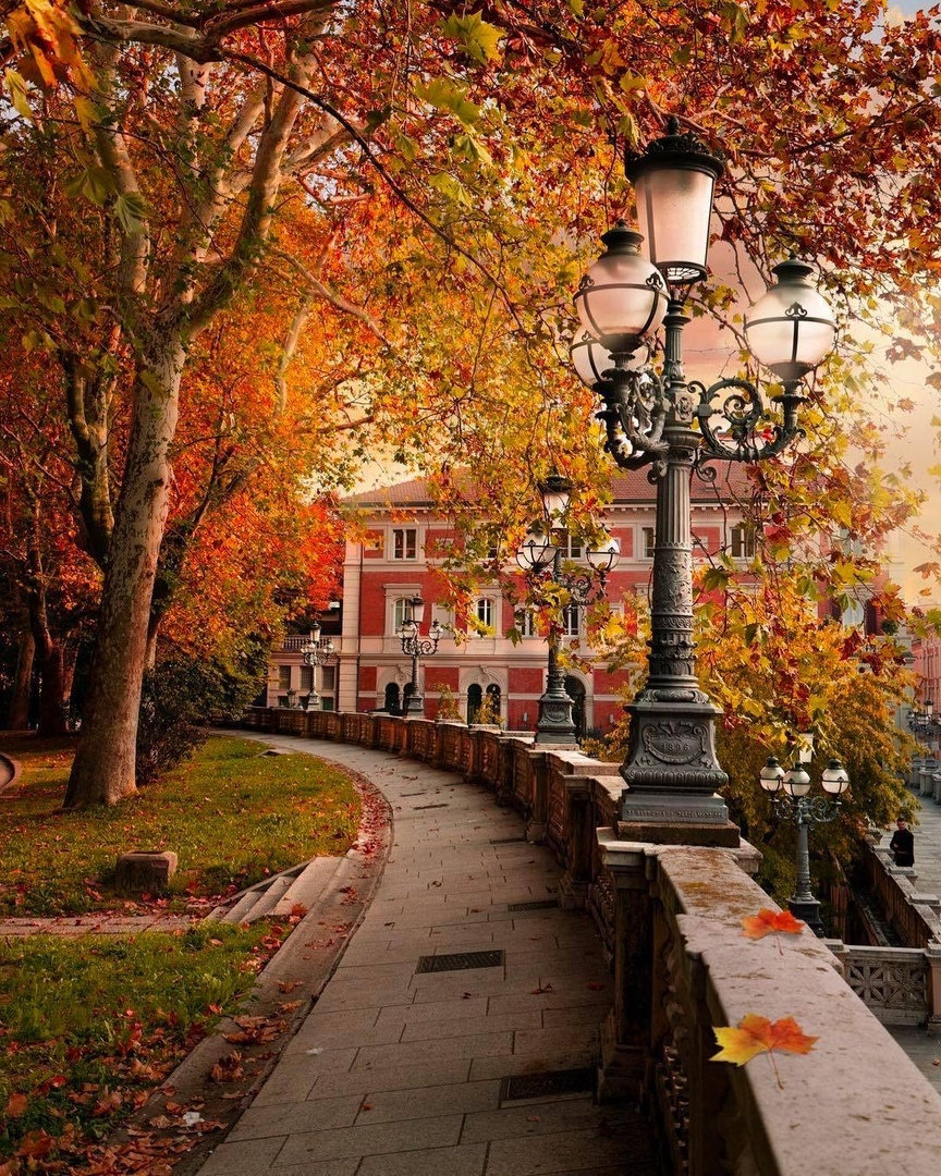 Осенний город