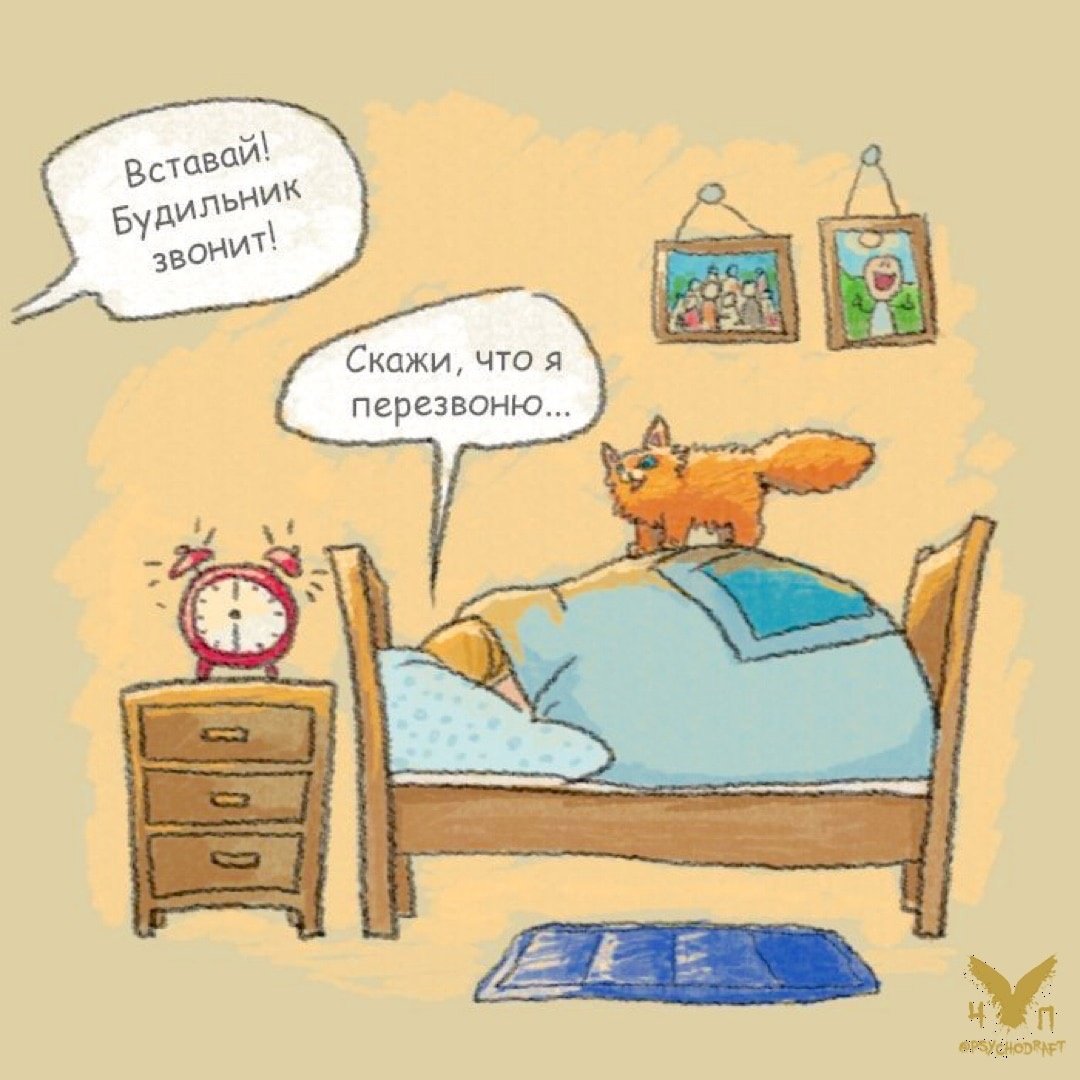 Встал с утра