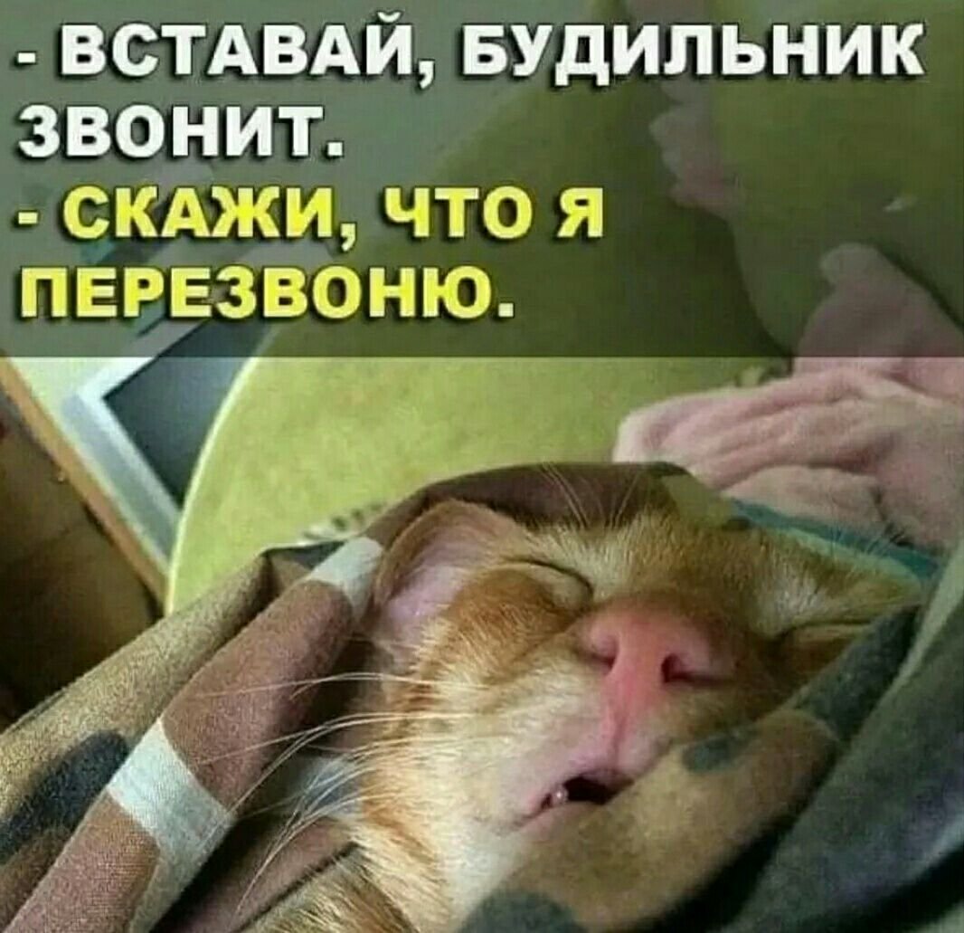 Мотивация на утро