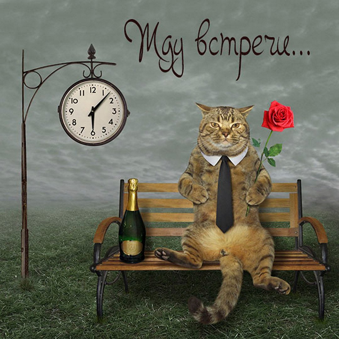 Юмор про подруг